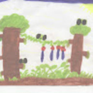 Meet your Posher, Henry